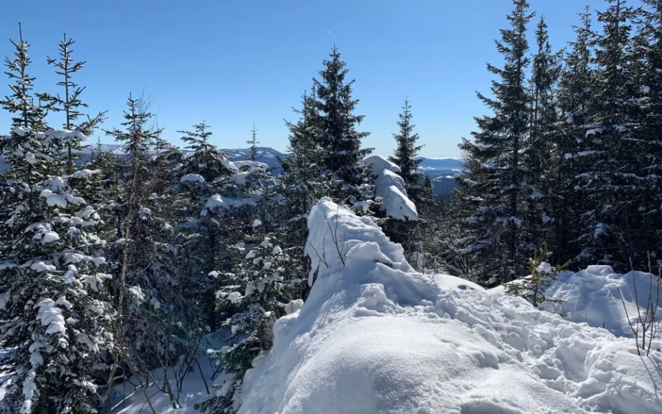 Agresivní skialpinista napadl dva strážce národního parku Šumava, způsobil jim četná zranění