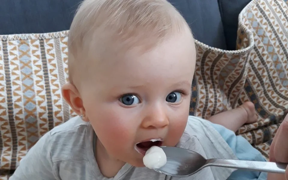Lipánek je jako jediný bez škrobu, dusíku, želatiny a xanthanu