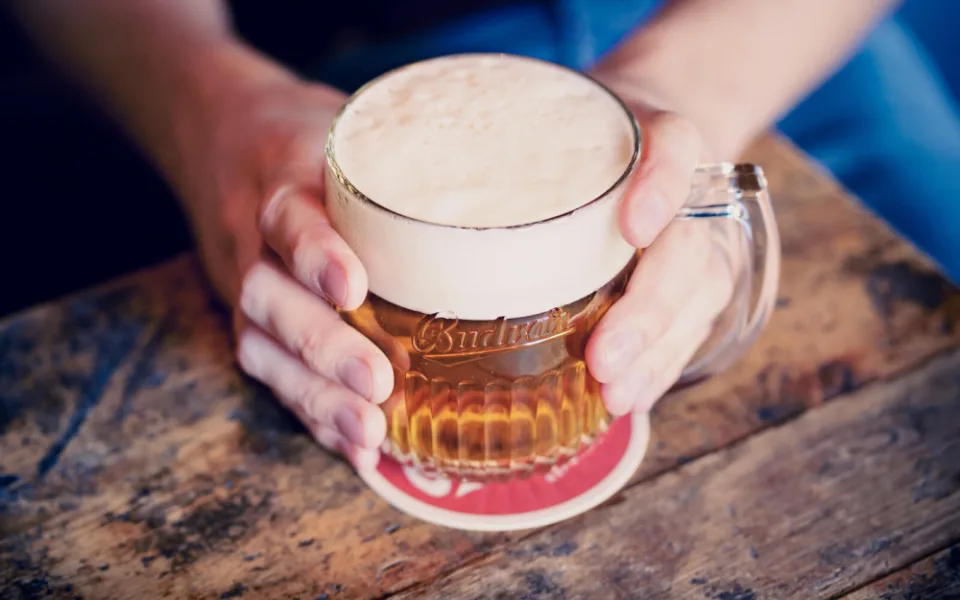 Budvar pozastavil veškerou výrobu a dodávky určené pro ruský trh
