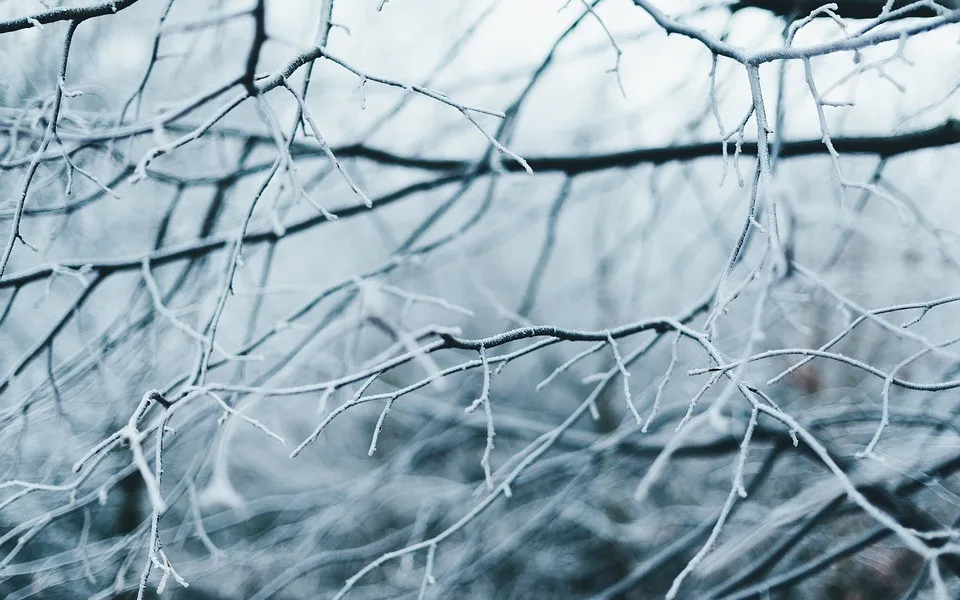 Březen se uvedl mrazivým ránem, na Kvildě bylo minus 20 stupňů