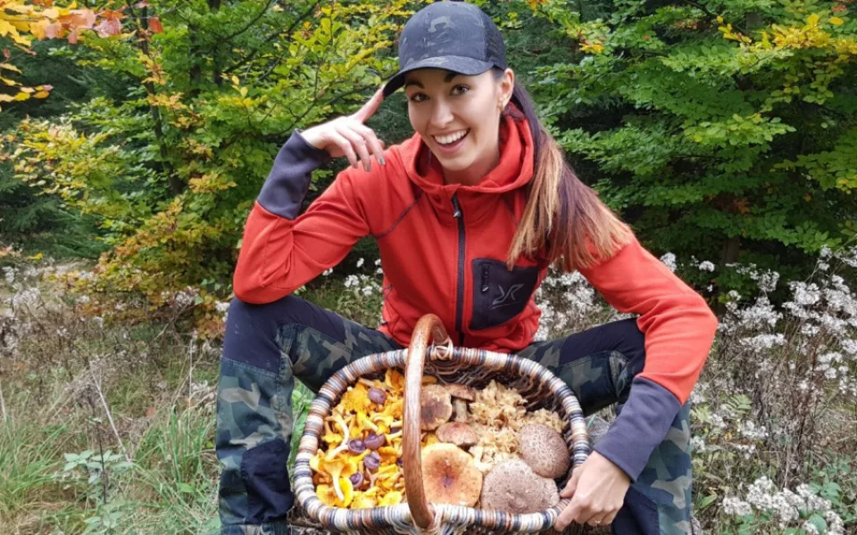 Šumavská houbička inspiruje tisíce lidí k houbařským výpravám do lesa v každém ročním období