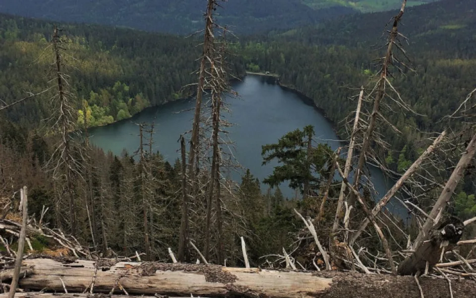 Rada parku se nedohodla na zásadách péče o Národní park Šumava