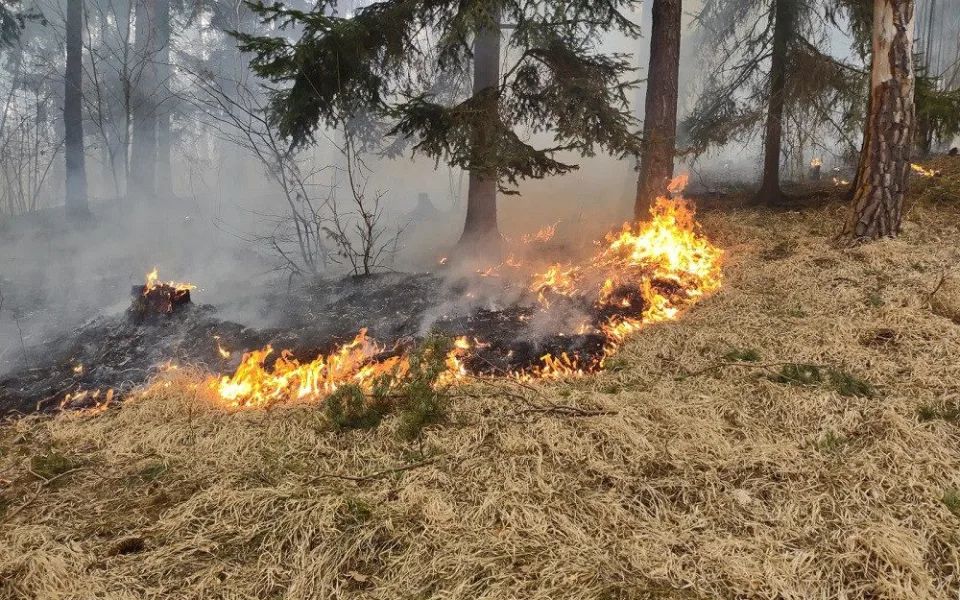 Hasiči druhý den bojují s požárem u Blanského lesa. Na místě zasahuje několik jednotek