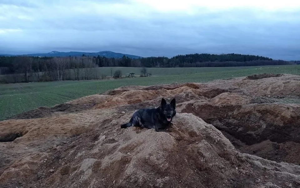 VIDEO: Policejní pes našel kopáče vltavínů. Ukrýval se v jámě pod zemí