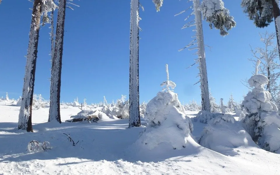 Na Šumavě padaly teplotní rekordy. Meteorologové naměřili minus 17 stupňů