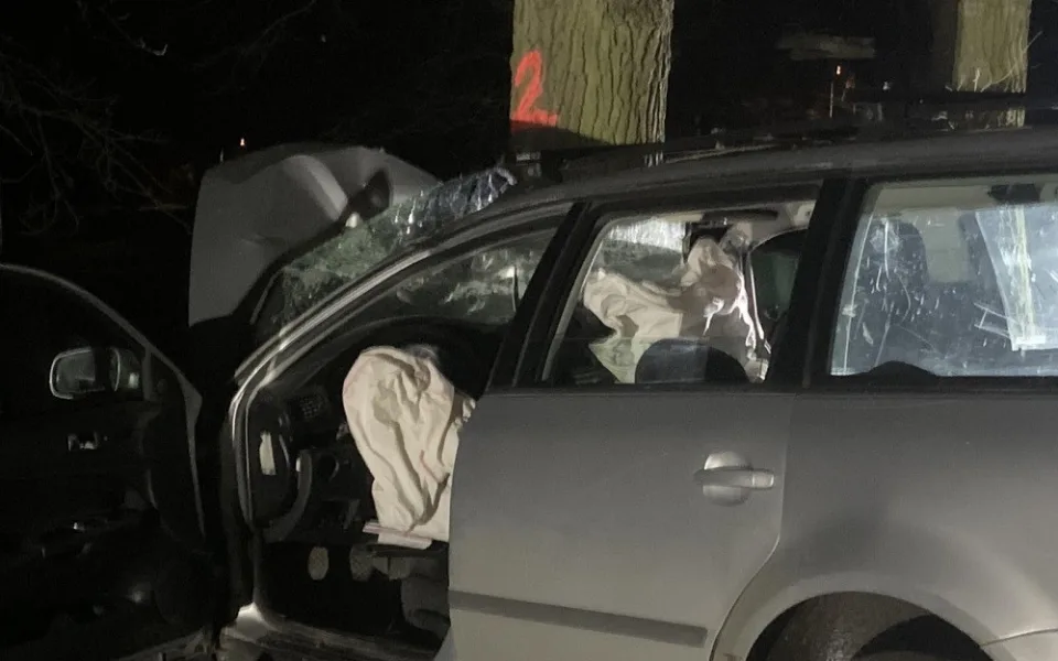 Tři lidé zemřeli při tragické nehodě na Jindřichohradecku. Auto narazilo do stromu, svědci slyšeli hlasitou ránu