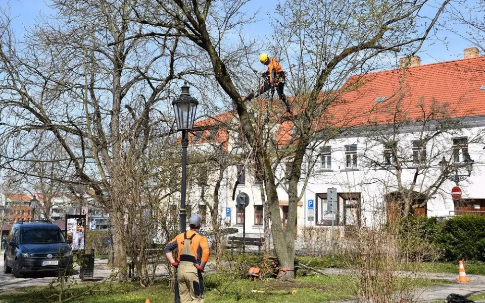Práce v Palackého Sadech.