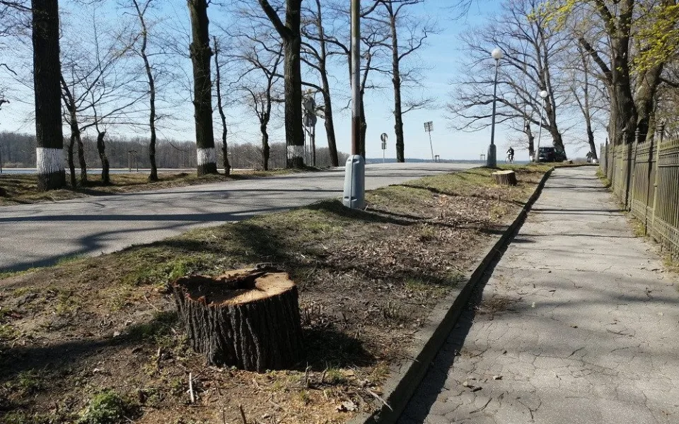Chodník mezi rybníkem a parkem se zvětší, poslouží chodcům i cyklistům.