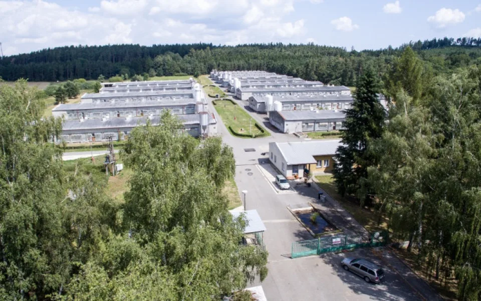 Vepřín v Letech u Písku by se měl podle Muzea romské kultury začít bourat v létě