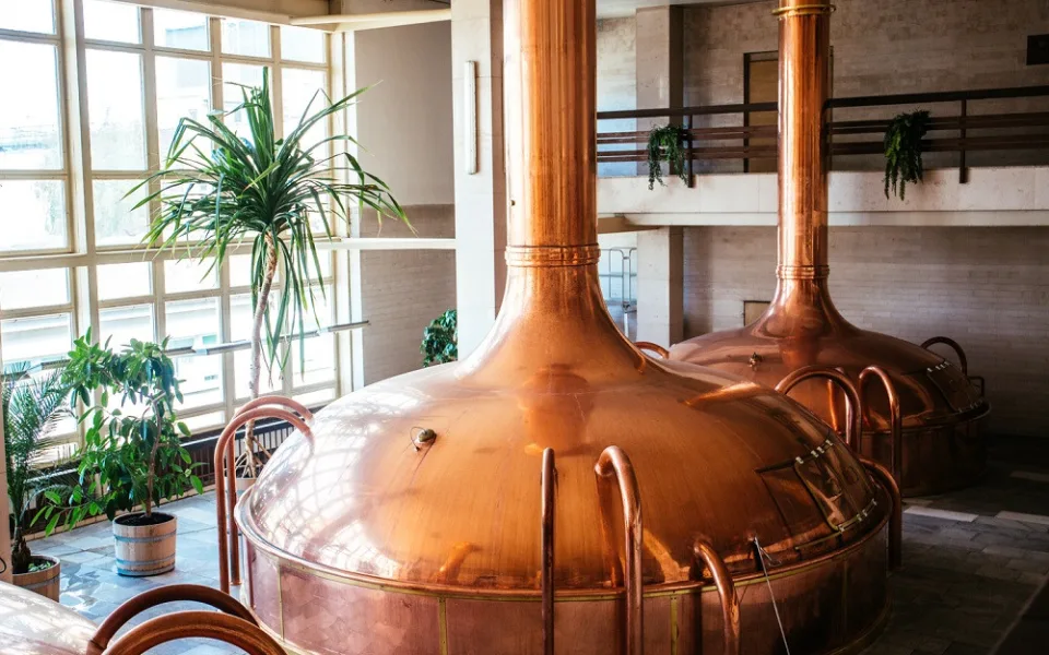 Budějovický Budvar vyvezl do zahraničí 1,3 milionů hektolitrů piva