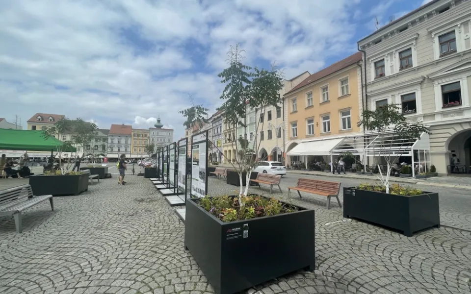 Na budějcké náměstí se vrátily stromy
