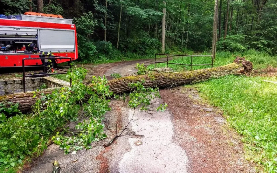 V úterý hasiči odklízeli následky bouře z předešlé noci. Snímek je z Chřešťovic na Písecku.