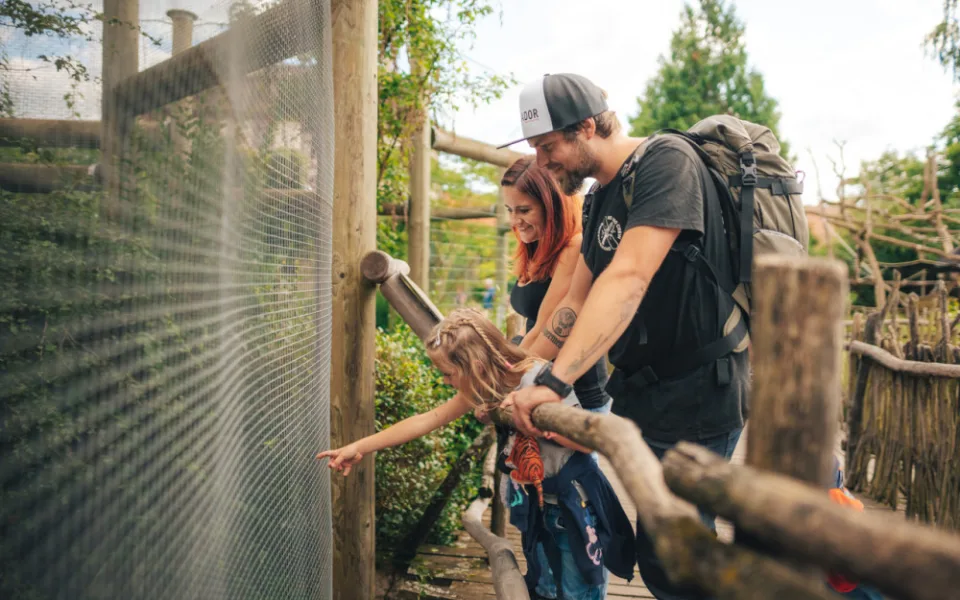 ZOO Hluboká je nejnavštěvovanějším cílem jižních Čech. AJG skokanem roku