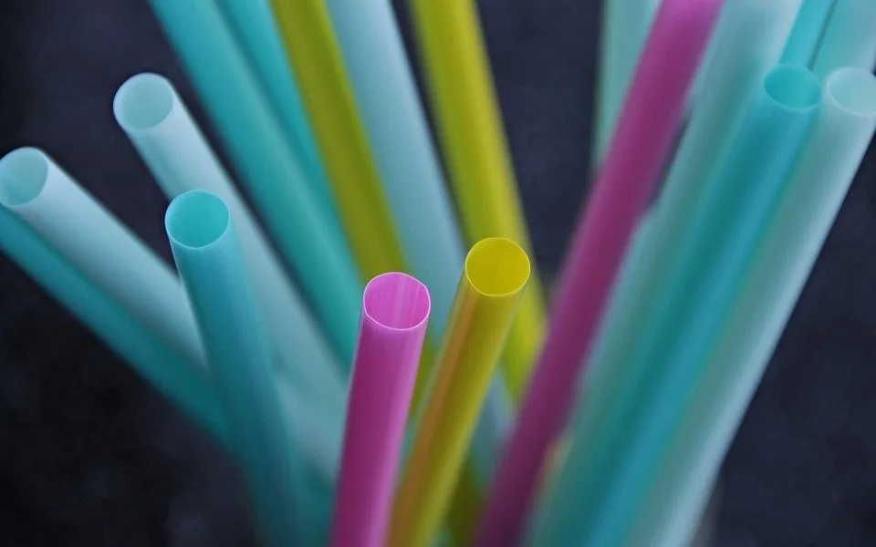 Senát projedná zákaz části jednorázových plastů či omezení filmových pobídek
