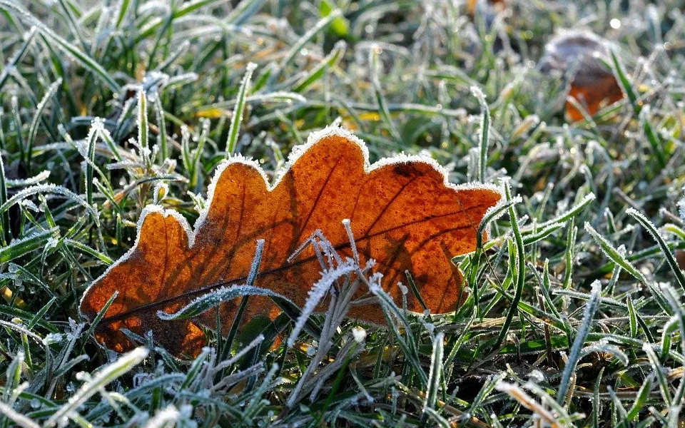 Teploty mírně porostou, na horách bude sněžit, hrozí přízemní mrazíky