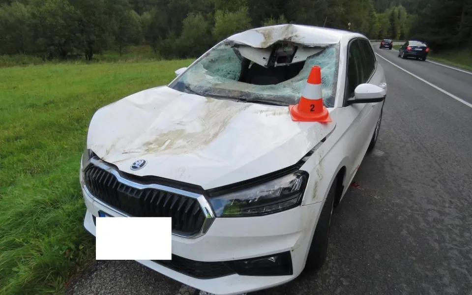 Na Českokrumlovsku se srazilo auto s jelenem. Řidiče museli převézt do nemocnice, zvíře uteklo