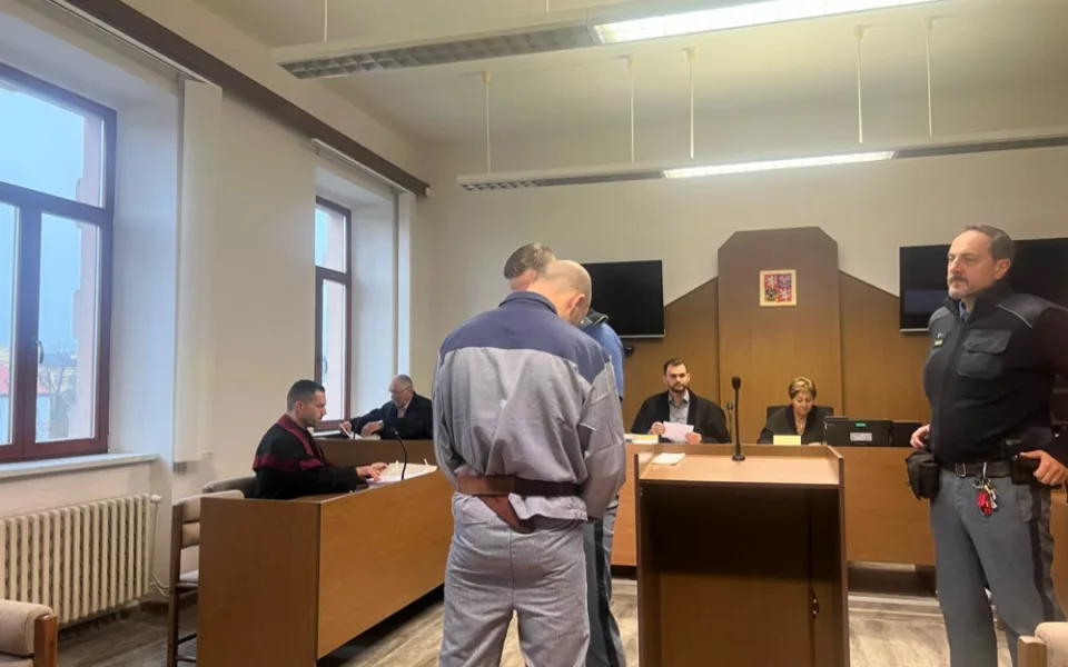 Muži, který brutálně ubil ženu na Českobudějovicku, hrozí 18 let vězení. Vinu u soudu přiznal