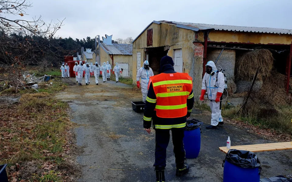 Veterináři zakázali od středy na celém území Česka venkovní chov drůbeže