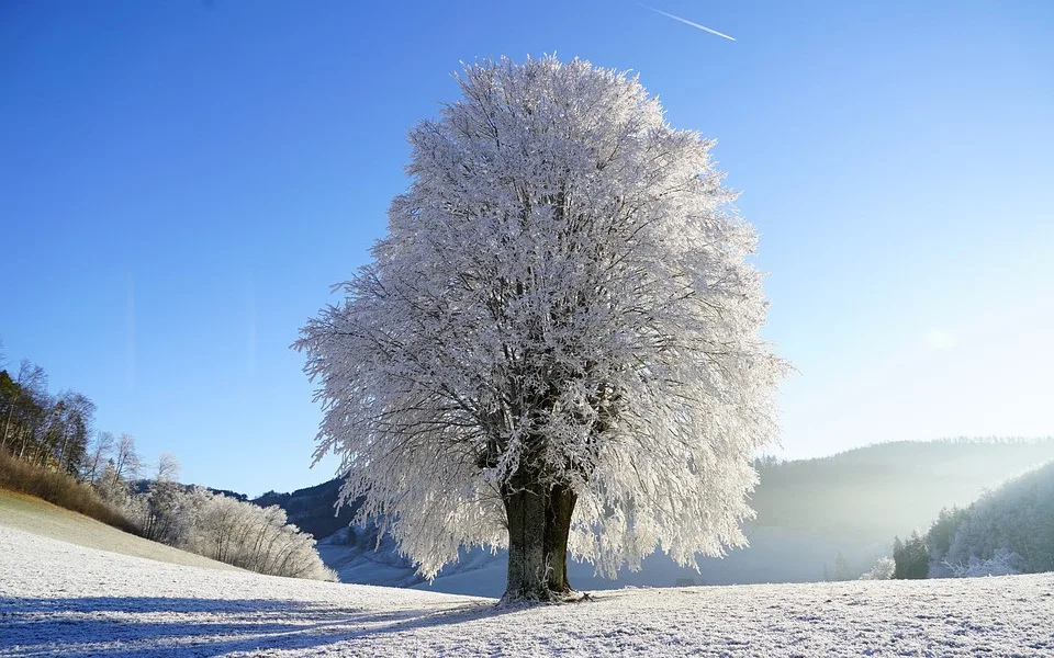 O víkendu vydrží mrazivé počasí, v noci na neděli bude až minus 15 stupňů