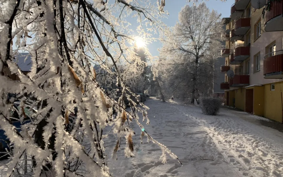 Českobudějovické sídliště Šumava v neděli ráno.