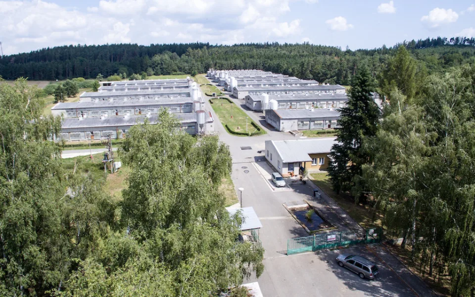 Vepřín v Letech, který stál v místě romského koncentračního tábora, je zbouraný