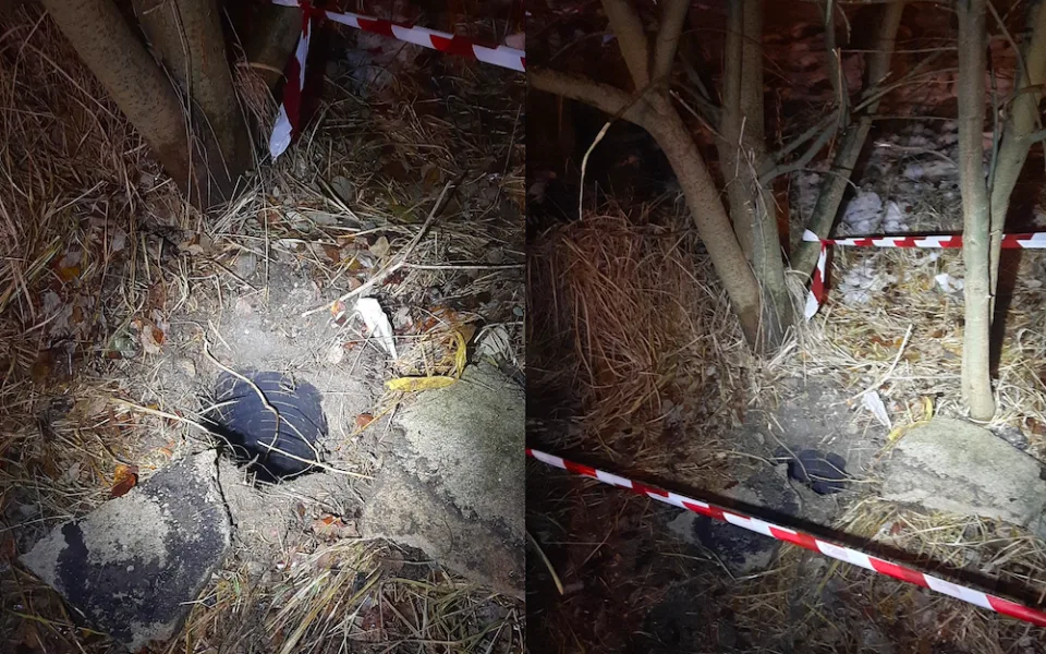Dvouměsíční štěně uvízlo v rouře s vodou. Vytáhnout ho museli policisté spolu s hasiči