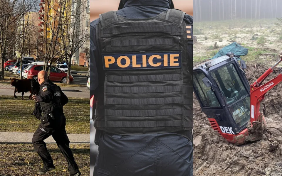 Bizarní příběhy policistů. Krávy v ulicích, náruživá partnerka a bagr v bahně