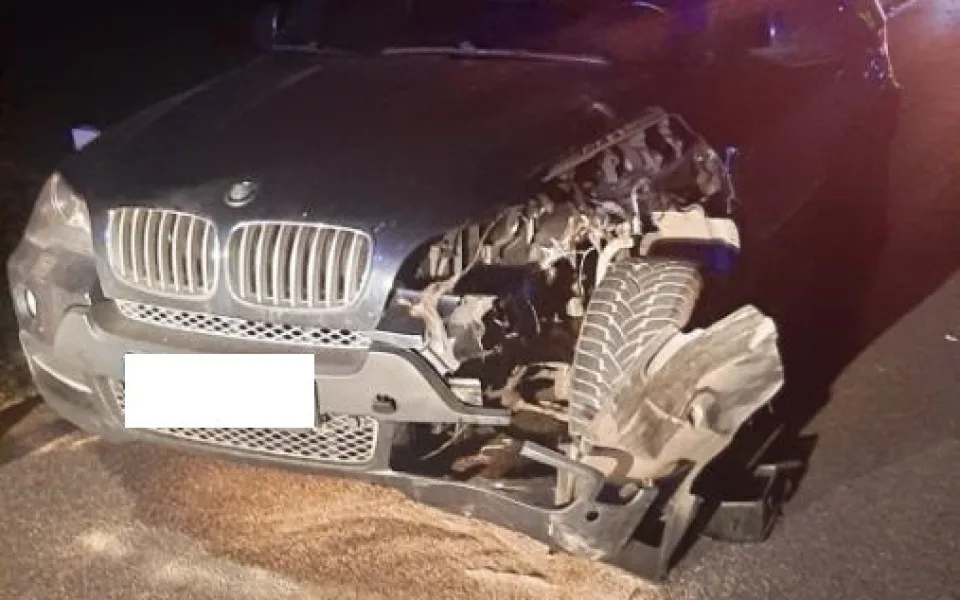 Žena krátce po půlnoci srazila pštrosa, zvíře na místě zemřelo