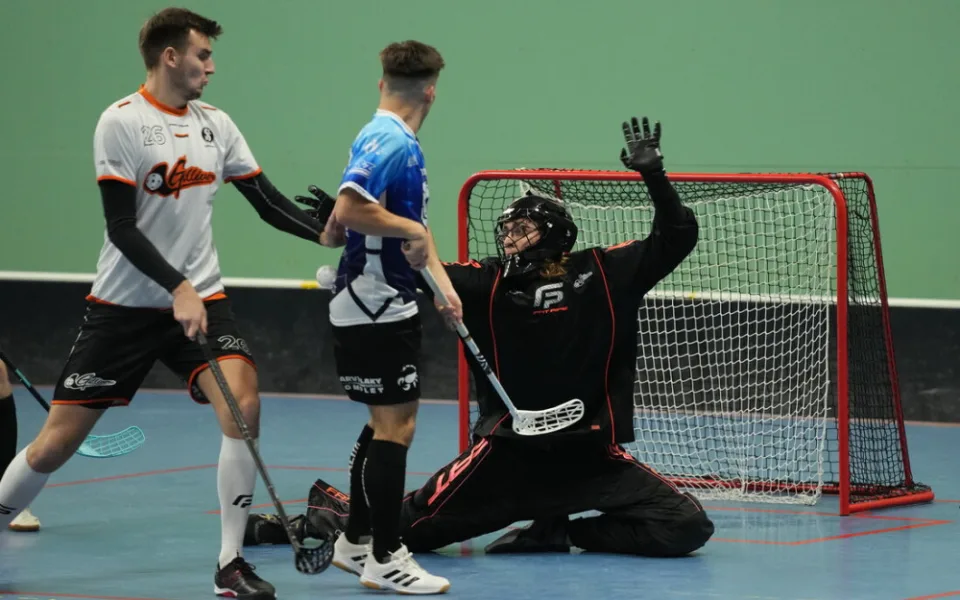 Florbalová superliga v Budějovicích: Domácí Štíry čeká přímý souboj o pátou příčku