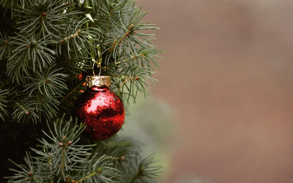 christmas-g73b7b9bea_1280