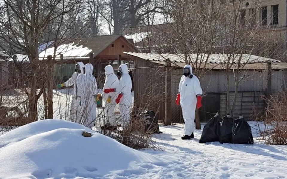 V malochovu drůbeže na Českobudějovicku je ptačí chřipka, část ptáků uhynula
