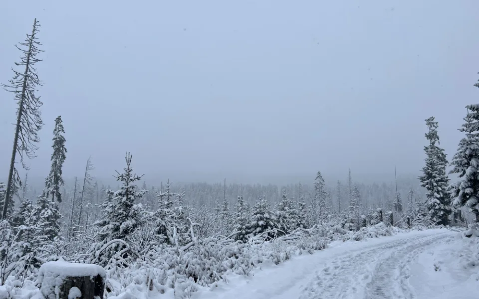 U šumavské Kvildy na Prachaticku meteorologové naměřili ráno minus 29 stupňů