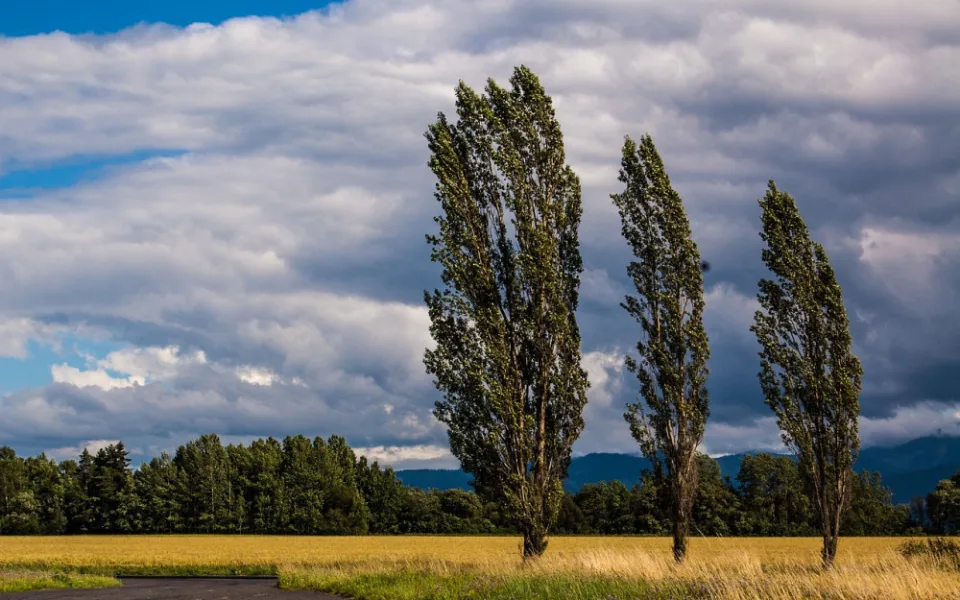 Na jihu Čech má dnes podle meteorologů foukat silný vítr. Na chvíli se vrátí zima