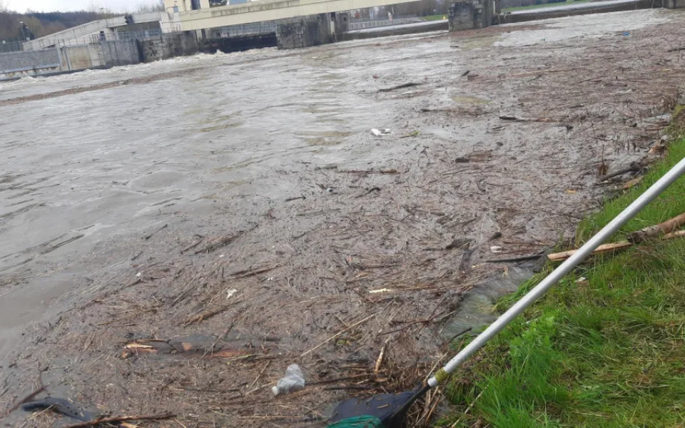 Vltava v Hluboké nad Vltavou.