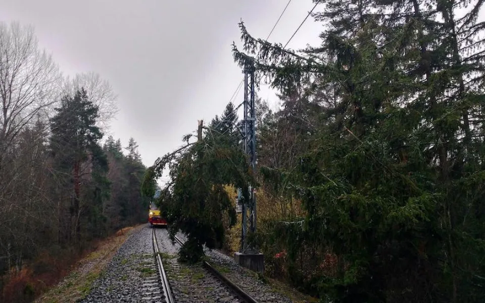 Správa železnic kácela dřeviny kolem tratí. Cílem je snížit počet mimořádných událostí