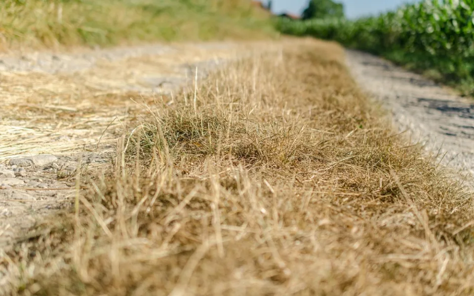 Pro část kraje platí kvůli suchu výstraha před požáry