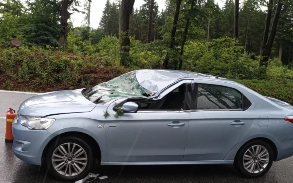 Silný vítr zlomil větev, která spadla na osobní automobil.