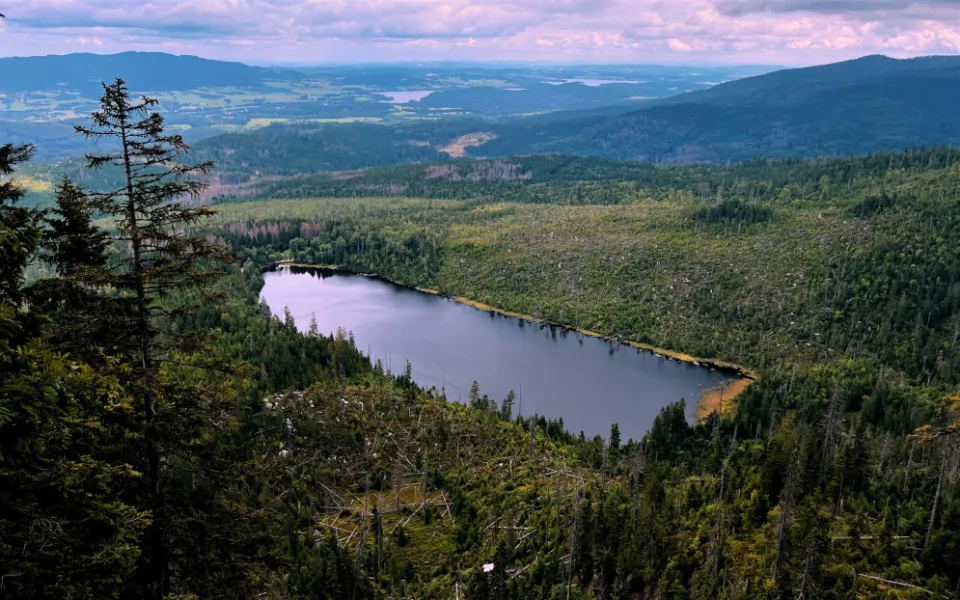 Šumavský národní park pořídí kamery pro všechny strážce v terénu. Budou moct nahrávat jednání s problematickými turisty