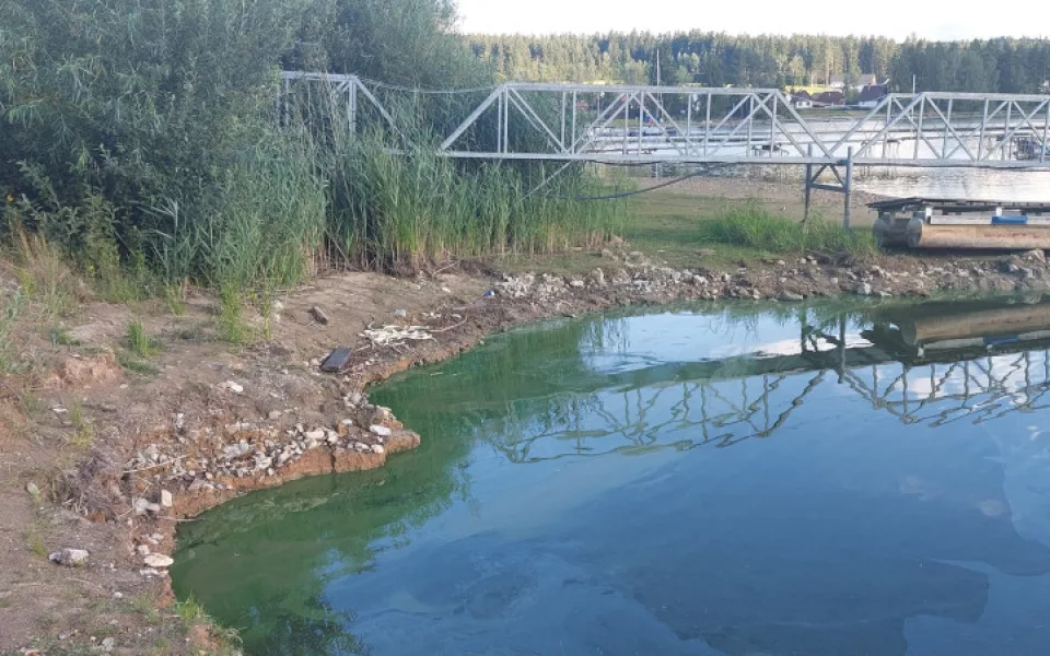 Tuto fotku sdílel spolek Lipensko pro život, podle kterého jde o sinice a olejovou skvrnu.