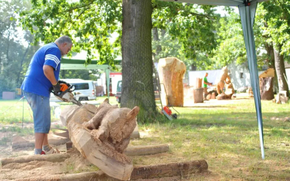 Dřevosochařské sympozium je tady, v Zoo Hluboká
