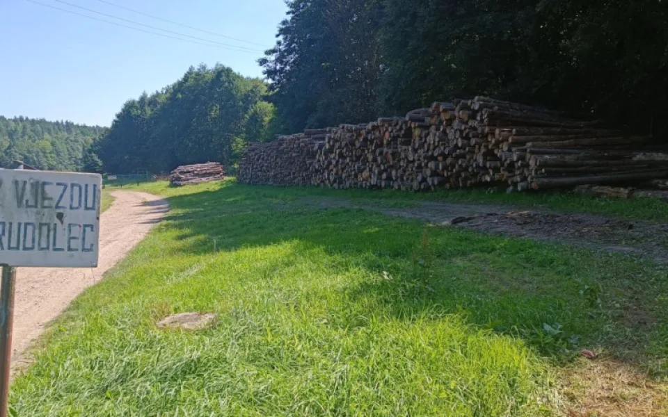 Rozdíl v těžbě a prodeji obecního dřeva v Českém Rudolci řeší policie
