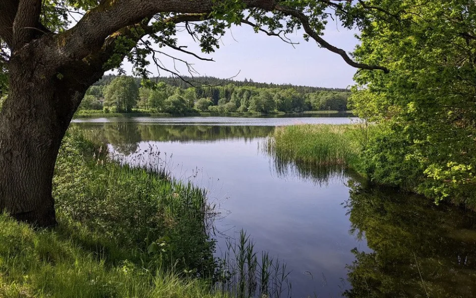 Mnišský rybník.