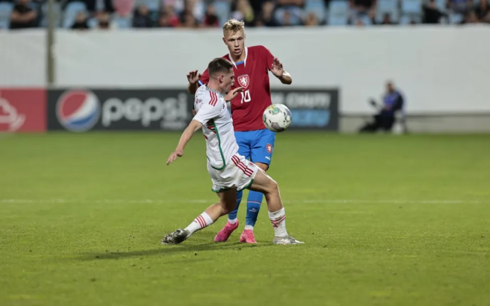 Lvíčata na Střeleckém ostrově remizovala s Walesem