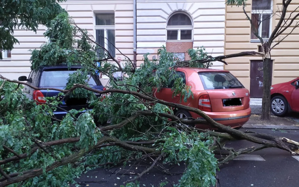 Meteorologové varují před silným větrem, přinese chladnější počasí i přízemní mrazíky