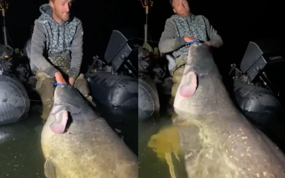 Z Orlíku vytáhl rybář Jakub Vágner obřího sumce. Měřil 250 centimetrů