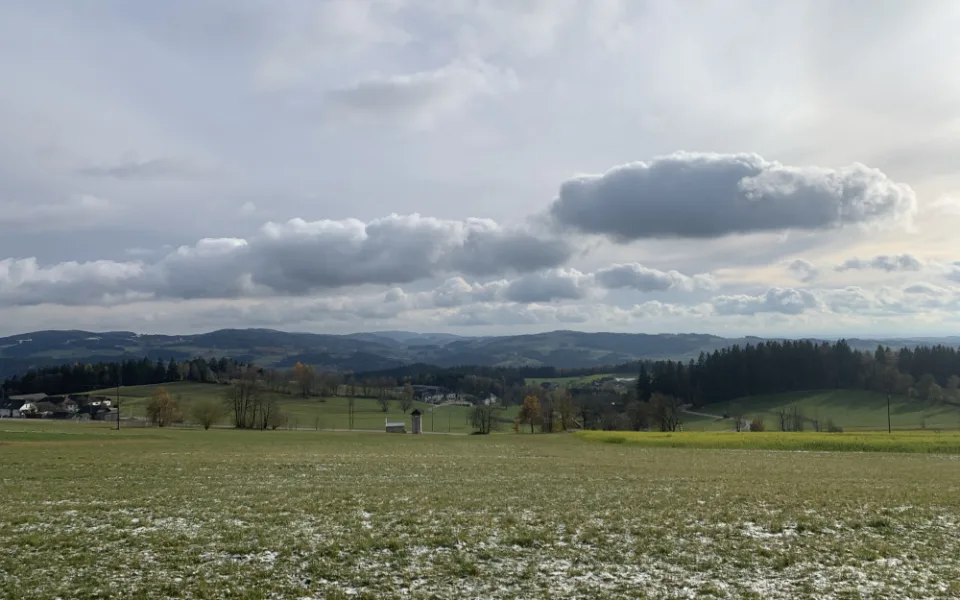 Ilustrační foto.
