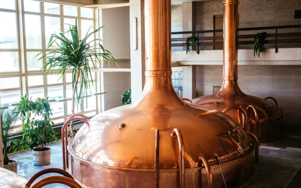 Budvar vaří vánoční pivo, vyrábí naplno, proto se ke stávce nepřidal