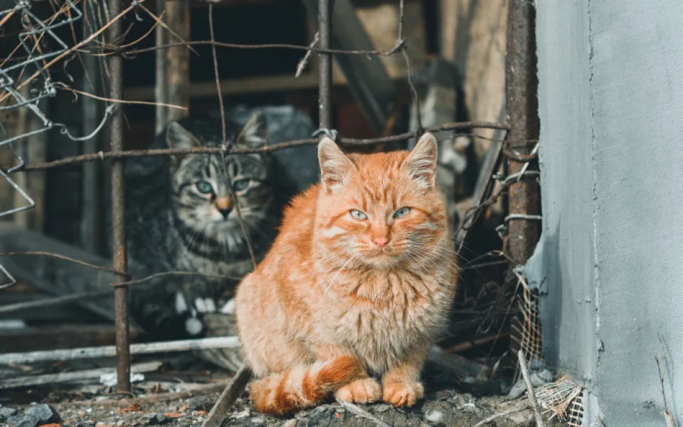 Ilustrační foto.