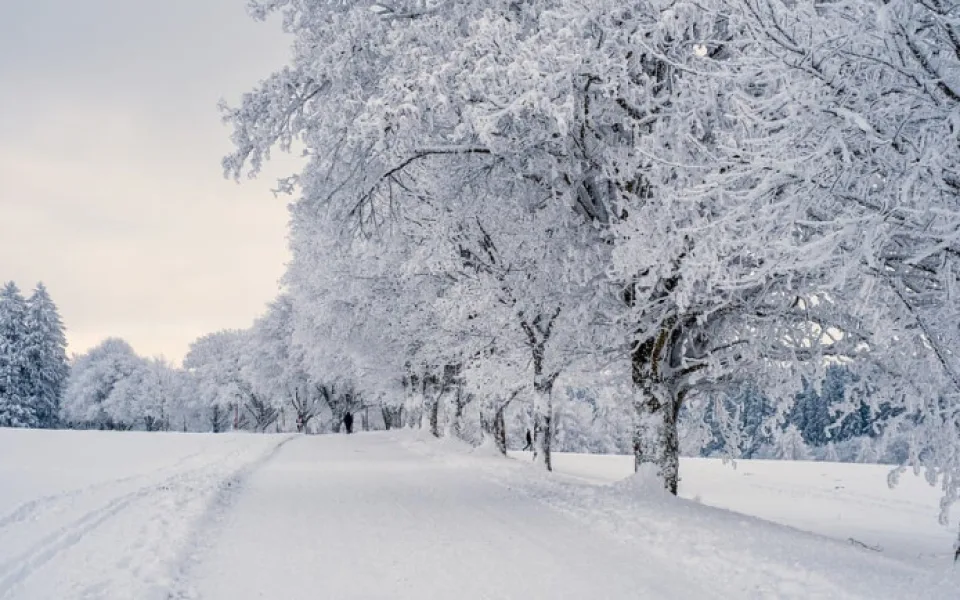 Meteorologové vydali další výstrahu. Napadnout může až 25 centimetrů sněhu