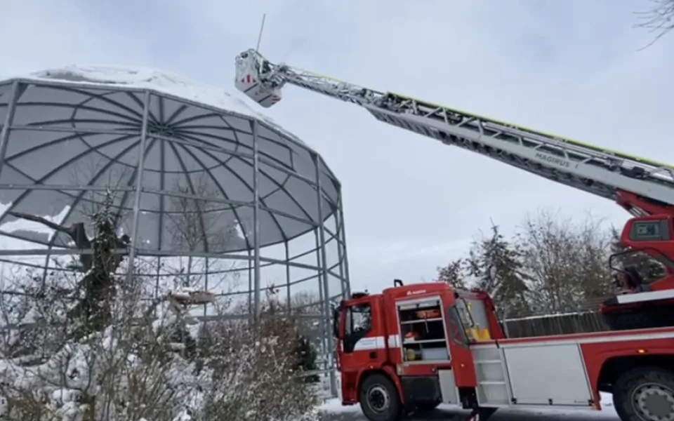 VIDEO: Hasiči odstraňují sníh z voliéry zoologické zahrady
